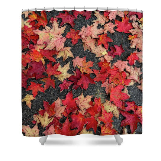 Maple Leaves In October 2 - Shower Curtain