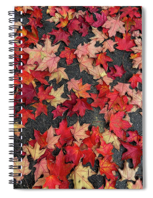 Maple Leaves In October 2 - Spiral Notebook