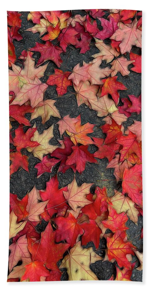 Maple Leaves In October 2 - Beach Towel