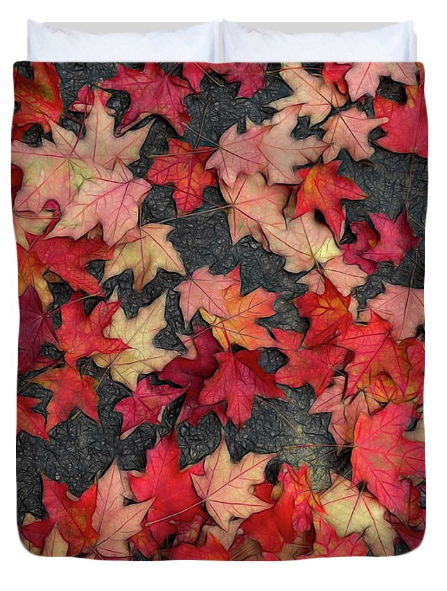 Maple Leaves In October 2 - Duvet Cover