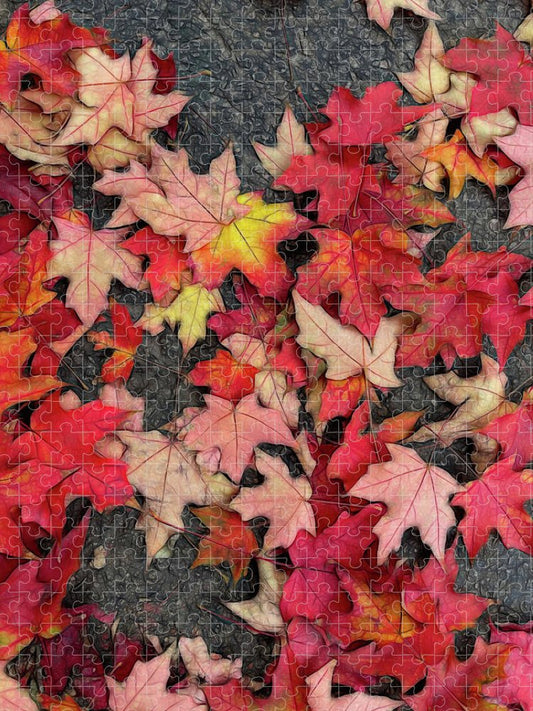Maple Leaves In October 3 - Puzzle