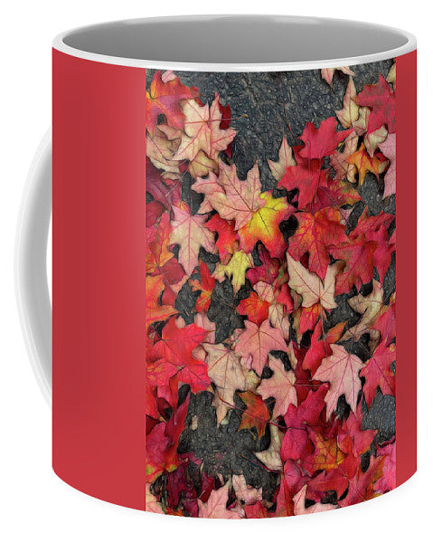 Maple Leaves In October 3 - Mug