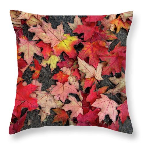 Maple Leaves In October 3 - Throw Pillow