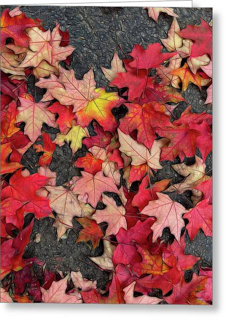 Maple Leaves In October 3 - Greeting Card