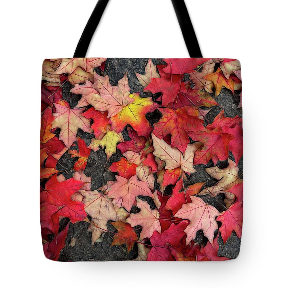 Maple Leaves In October 3 - Tote Bag