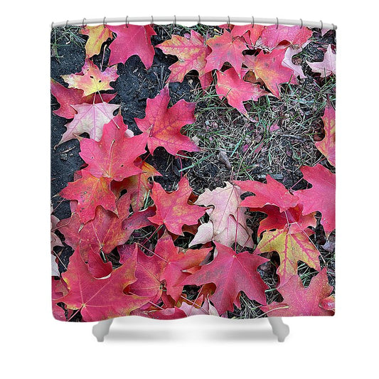 Maple Leaves In October 4 - Shower Curtain
