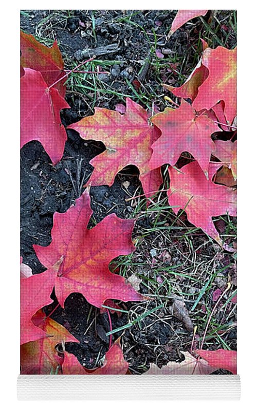 Maple Leaves In October 4 - Yoga Mat