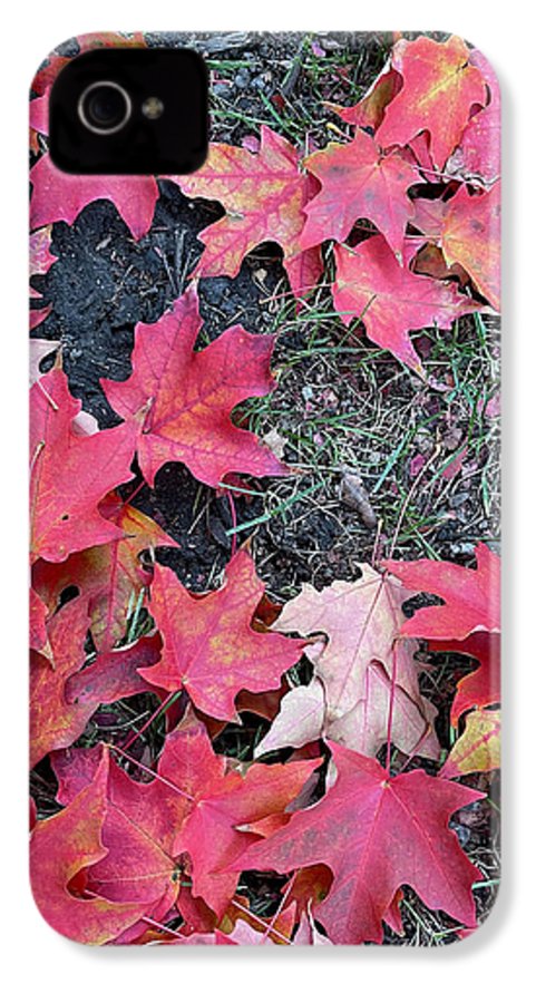 Maple Leaves In October 4 - Phone Case