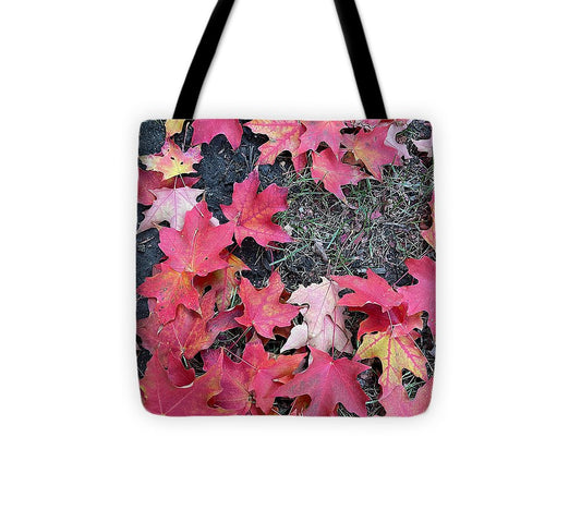 Maple Leaves In October 4 - Tote Bag
