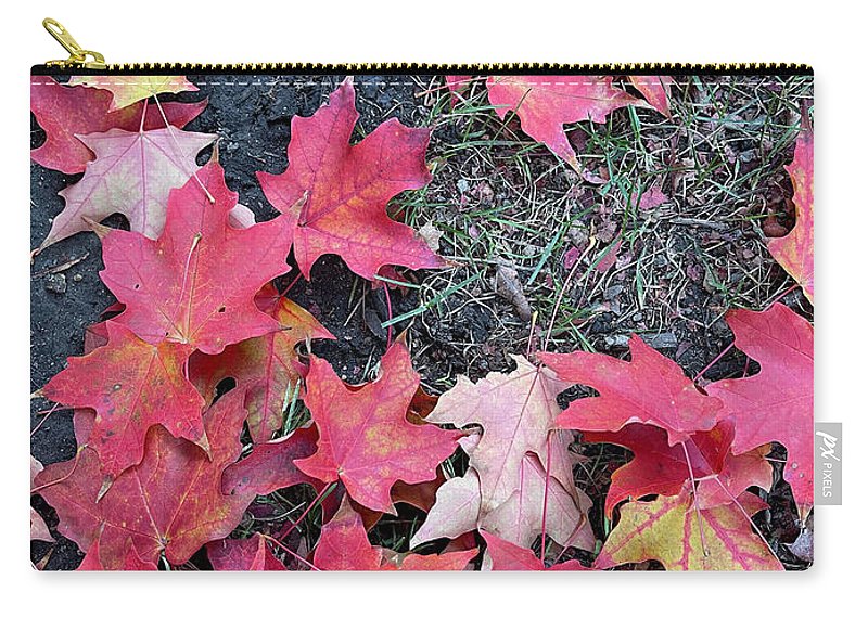 Maple Leaves In October 4 - Zip Pouch