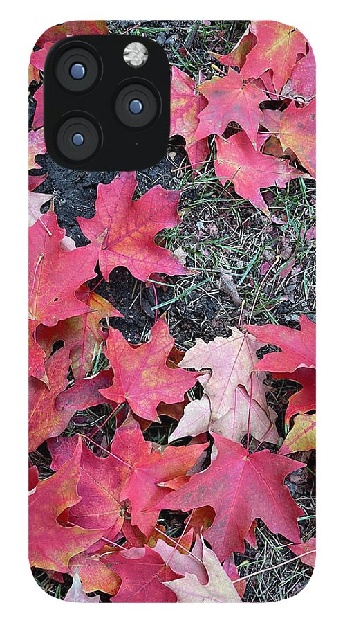 Maple Leaves In October 4 - Phone Case