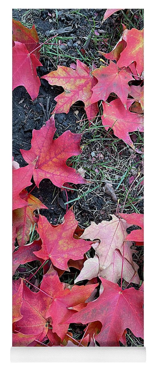 Maple Leaves In October 4 - Yoga Mat