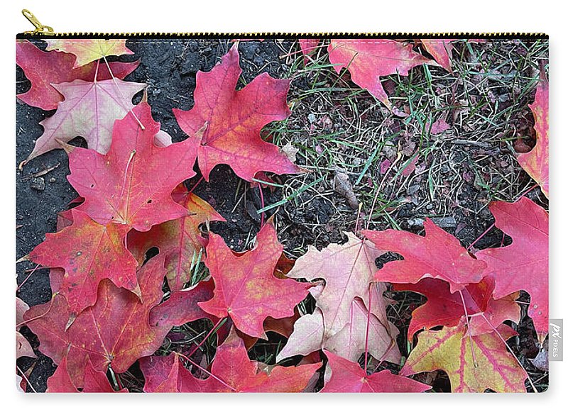 Maple Leaves In October 4 - Zip Pouch