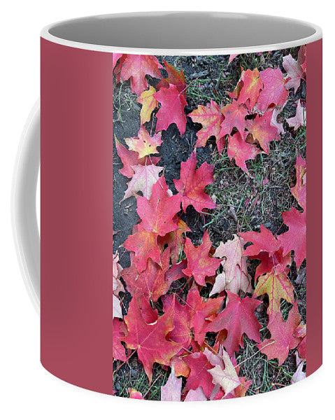 Maple Leaves In October 4 - Mug