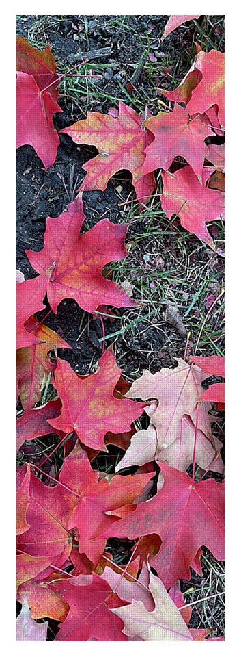 Maple Leaves In October 4 - Yoga Mat