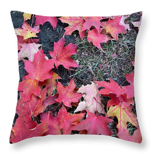 Maple Leaves In October 4 - Throw Pillow