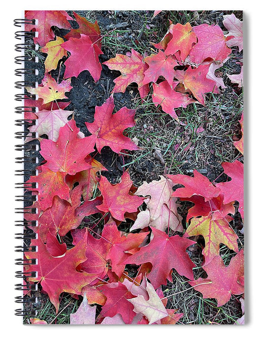 Maple Leaves In October 4 - Spiral Notebook