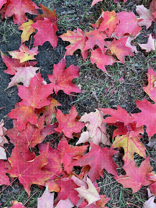 Maple Leaves In October 4 - Puzzle