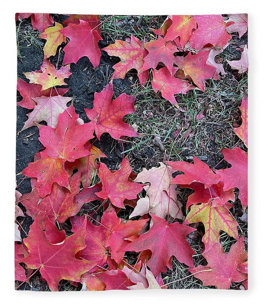 Maple Leaves In October 4 - Blanket