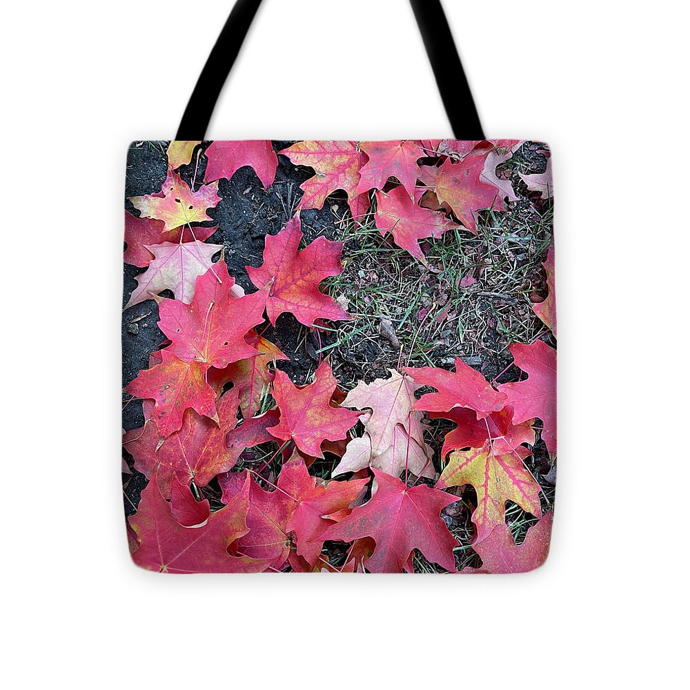 Maple Leaves In October 4 - Tote Bag