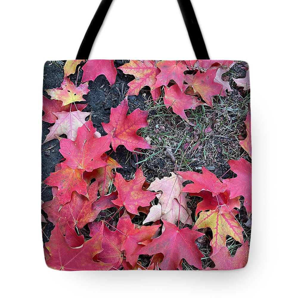 Maple Leaves In October 4 - Tote Bag