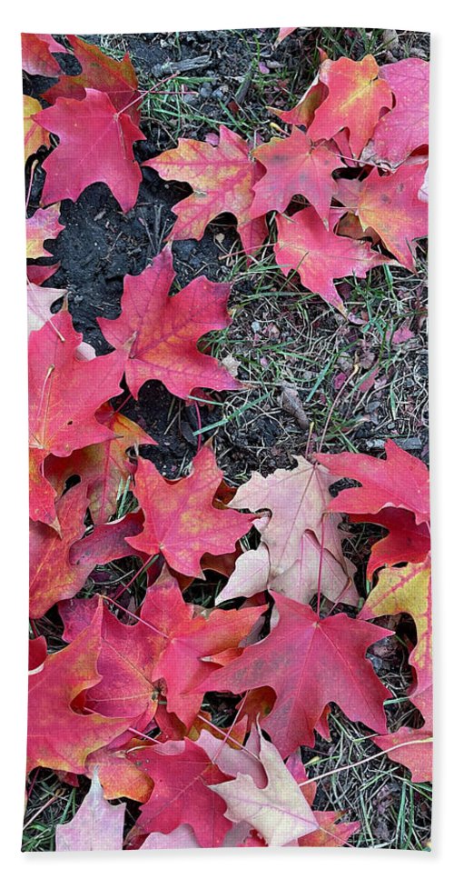 Maple Leaves In October 4 - Bath Towel