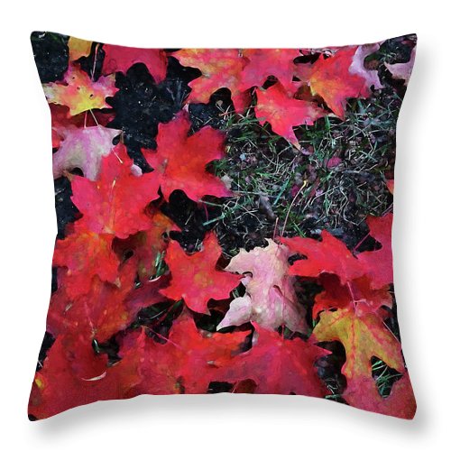 Maple Leaves In October 5 - Throw Pillow
