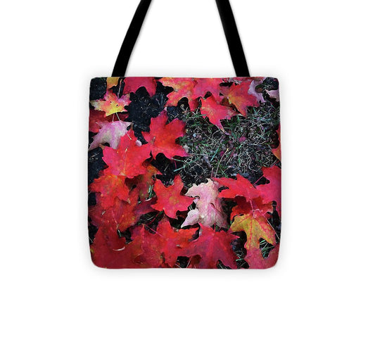 Maple Leaves In October 5 - Tote Bag