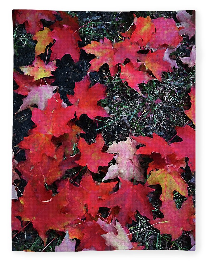 Maple Leaves In October 5 - Blanket