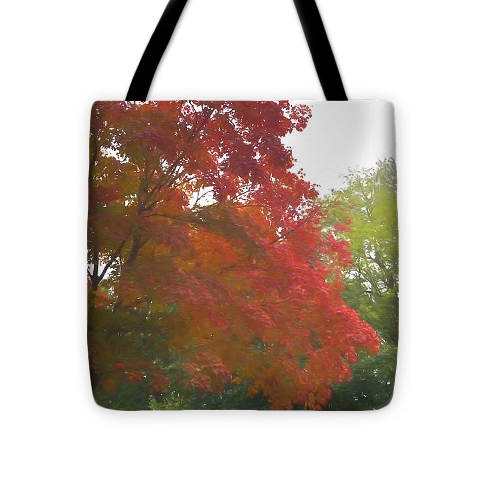 Maple Tree In October - Tote Bag