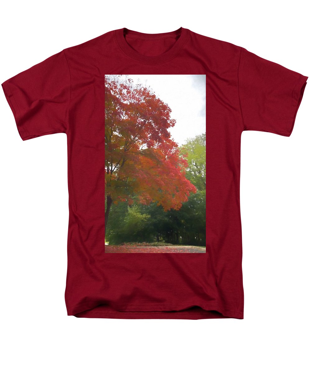 Maple Tree In October - Men's T-Shirt  (Regular Fit)