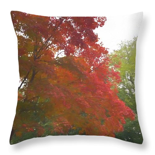 Maple Tree In October - Throw Pillow