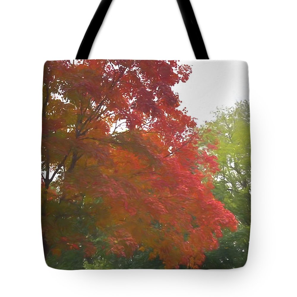 Maple Tree In October - Tote Bag