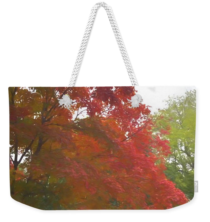 Maple Tree In October - Weekender Tote Bag