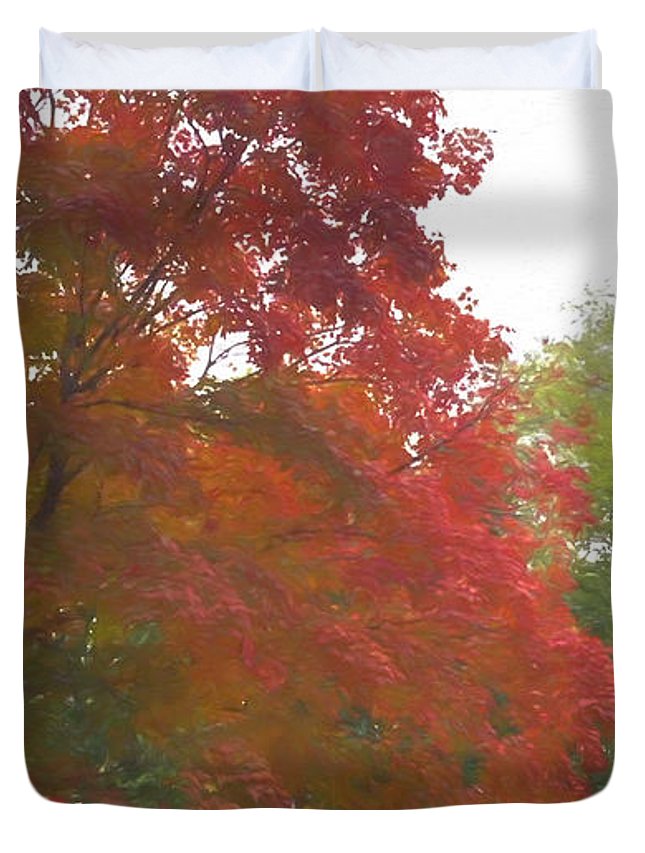 Maple Tree In October - Duvet Cover
