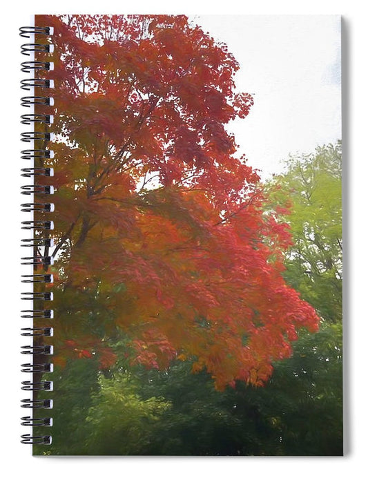 Maple Tree In October - Spiral Notebook