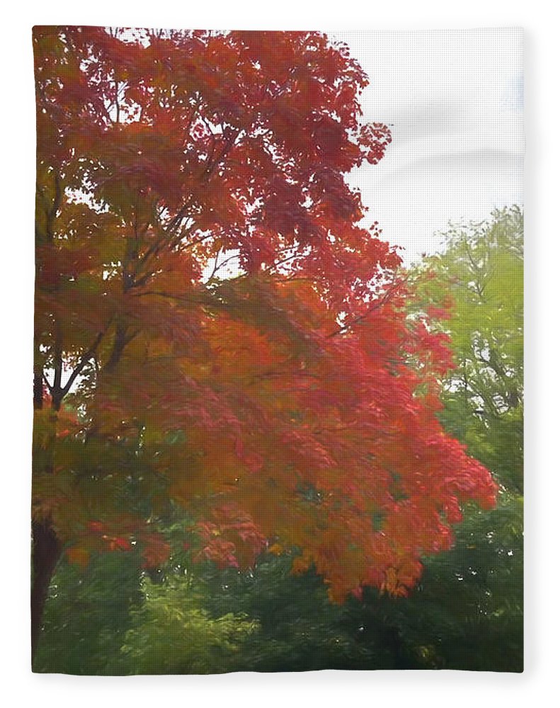 Maple Tree In October - Blanket
