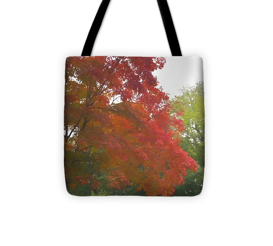 Maple Tree In October - Tote Bag