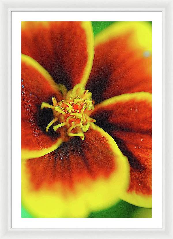 Marigold Center - Framed Print