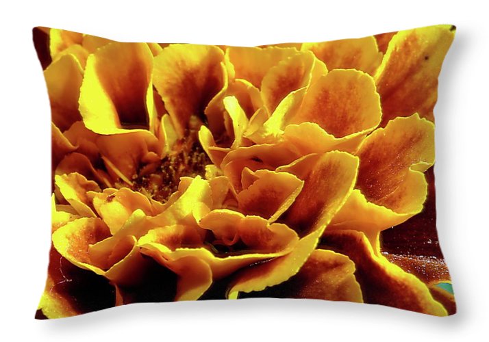 Marigold Close Up - Throw Pillow