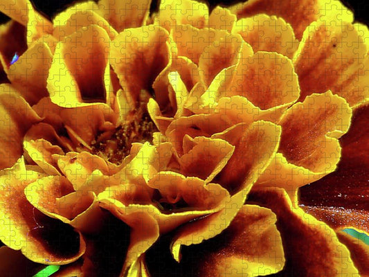 Marigold Close Up - Puzzle