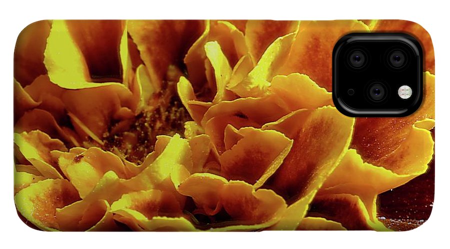 Marigold Close Up - Phone Case