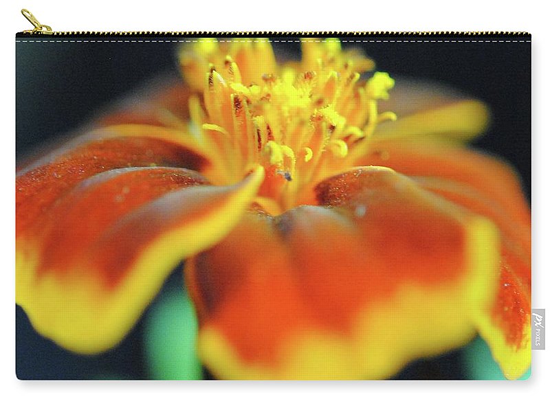 Marigold With Pollen - Carry-All Pouch