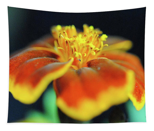 Marigold With Pollen - Tapestry