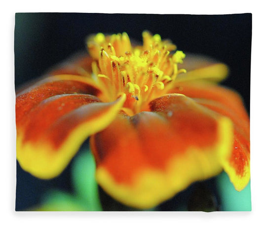 Marigold With Pollen - Blanket