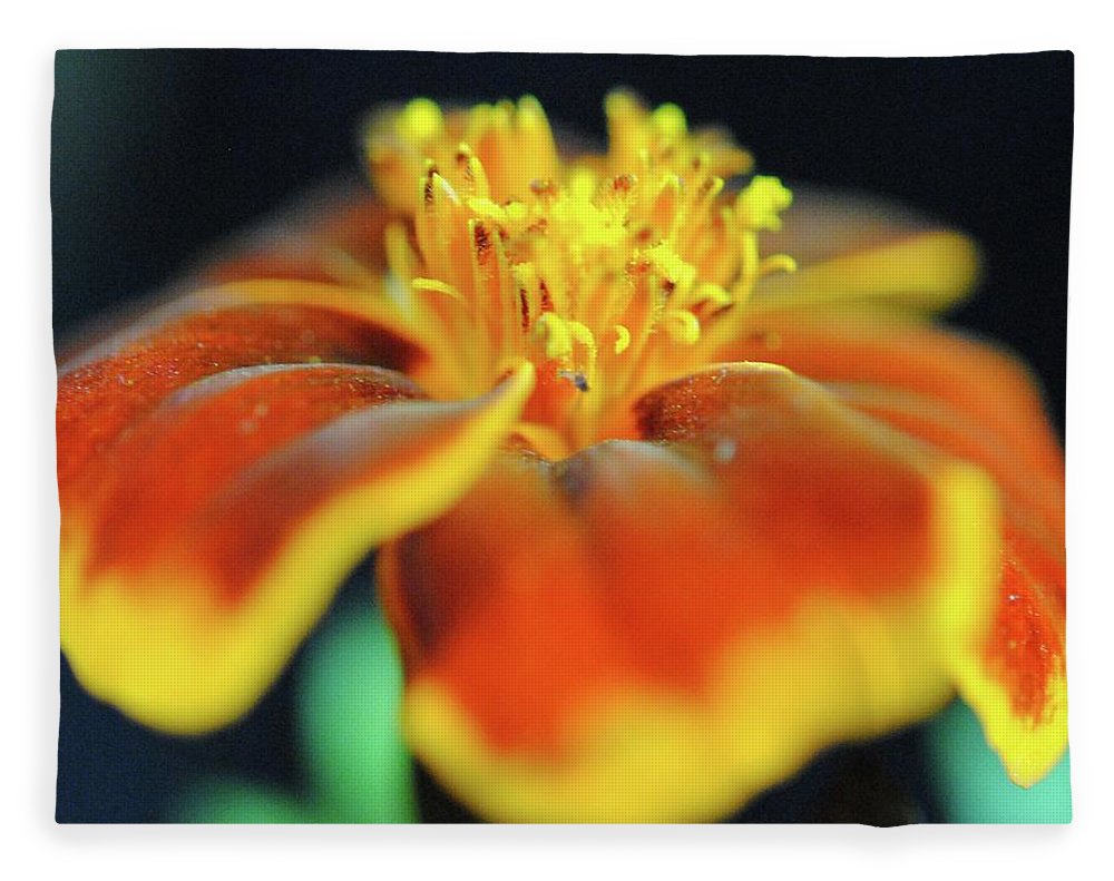 Marigold With Pollen - Blanket