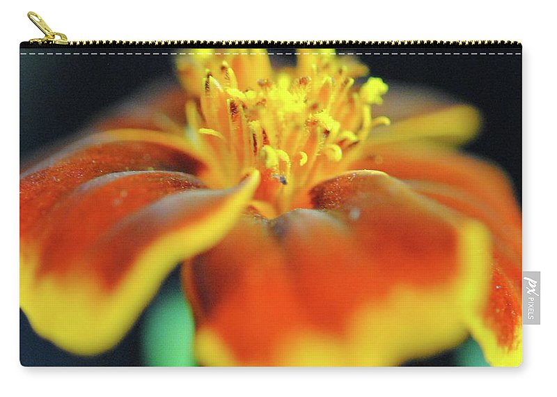 Marigold With Pollen - Carry-All Pouch