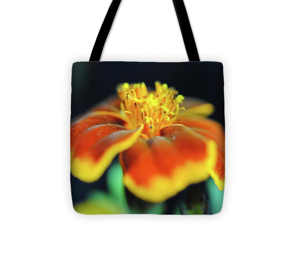 Marigold With Pollen - Tote Bag