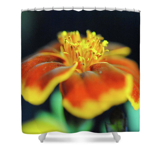 Marigold With Pollen - Shower Curtain