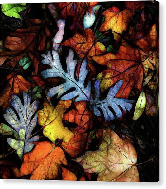 Mid October Leaves 1 - Canvas Print